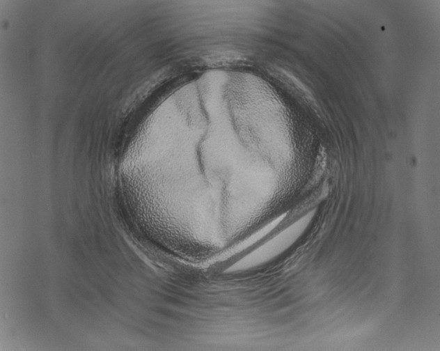 X0000072980405200608211355