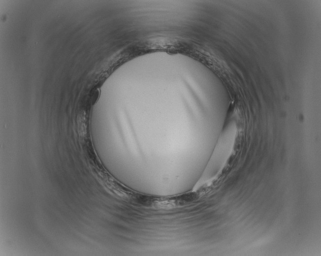 X0000072980413200608211354