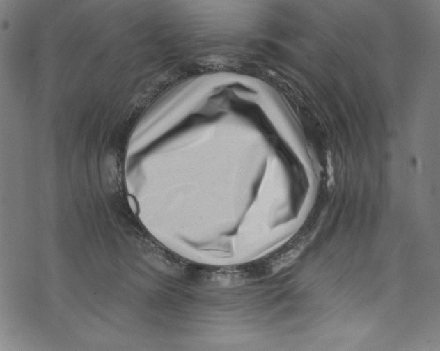 X0000072980420200608211354