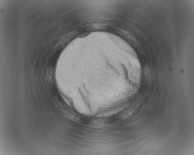 X0000072980423200608211354