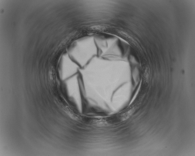 X0000072980424200608211354