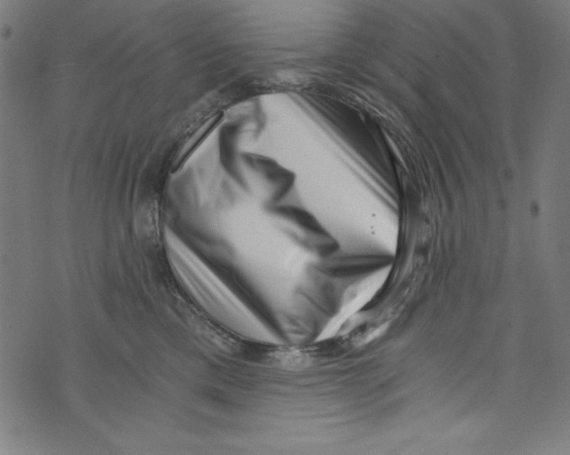 X0000072980425200608211354