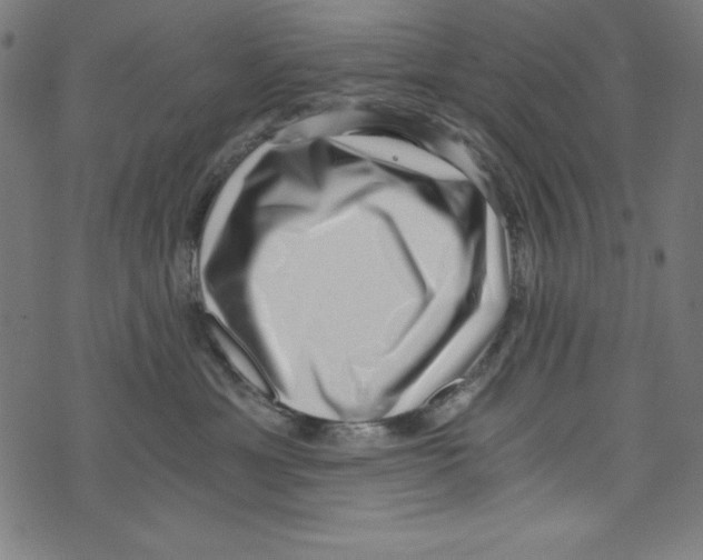 X0000072980429200608211354