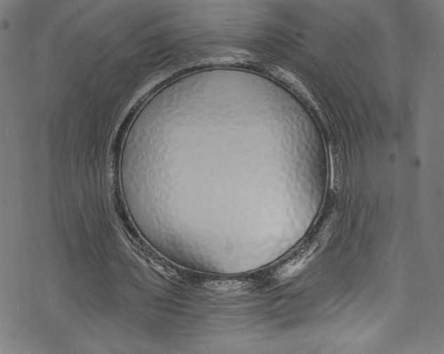 X0000072980435200608211353