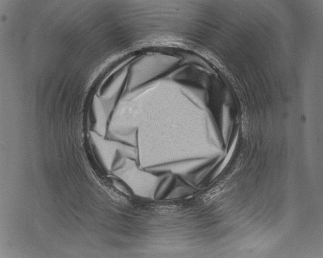X0000072980438200608211353