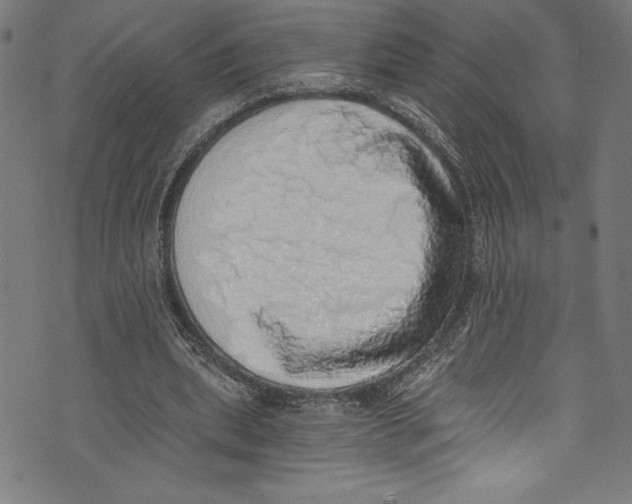 X0000072980439200608211353