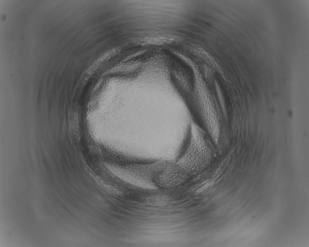 X0000072980444200608211354