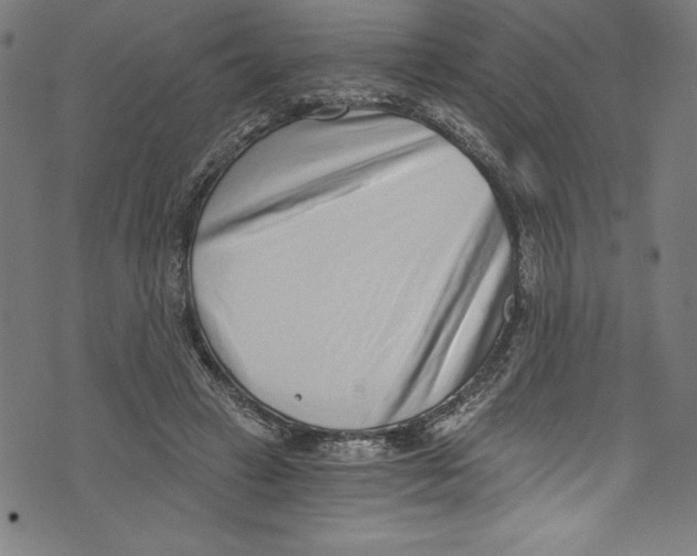 X0000072980449200608211354