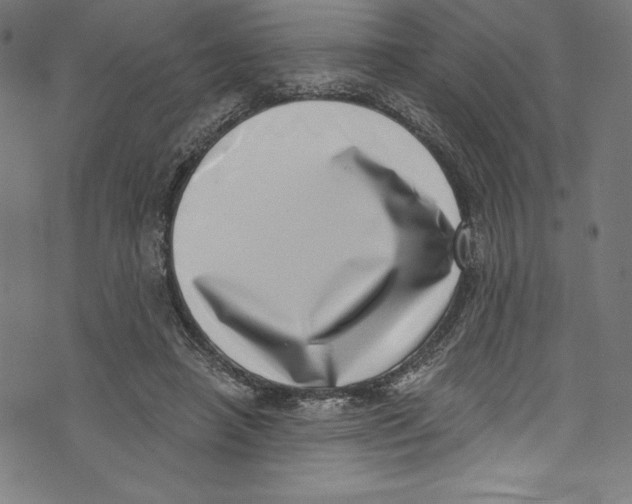 X0000072980450200608211354
