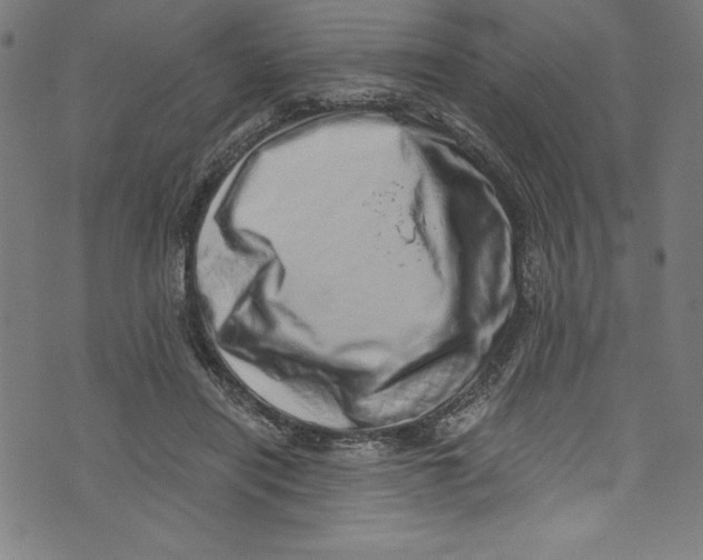 X0000072980454200608211354