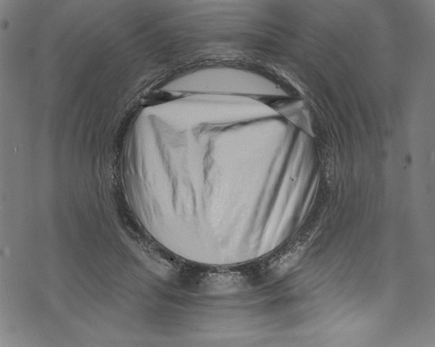X0000072980455200608211354