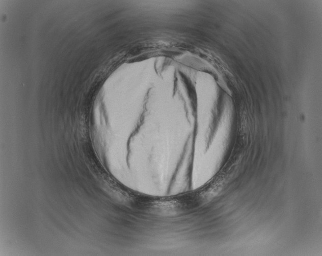 X0000072980457200608211354