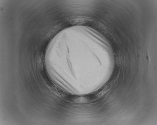 X0000072980460200608211354