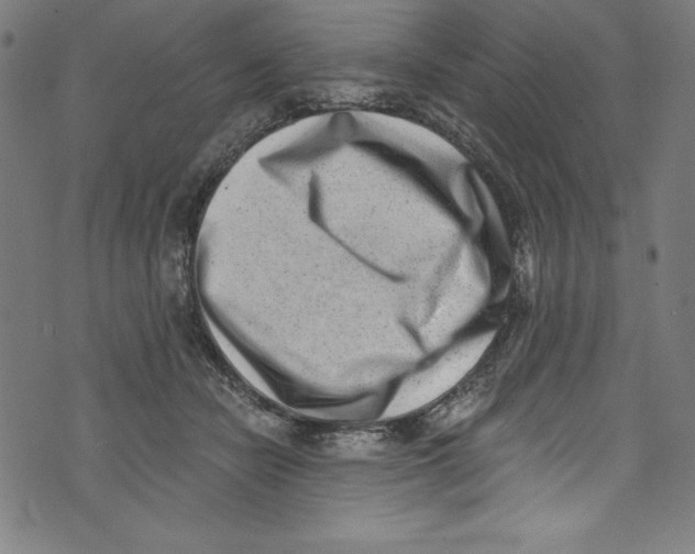 X0000072980462200608211354