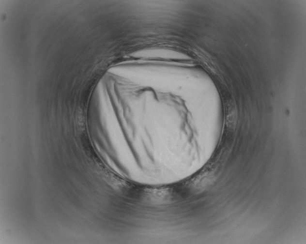 X0000072980469200608211354