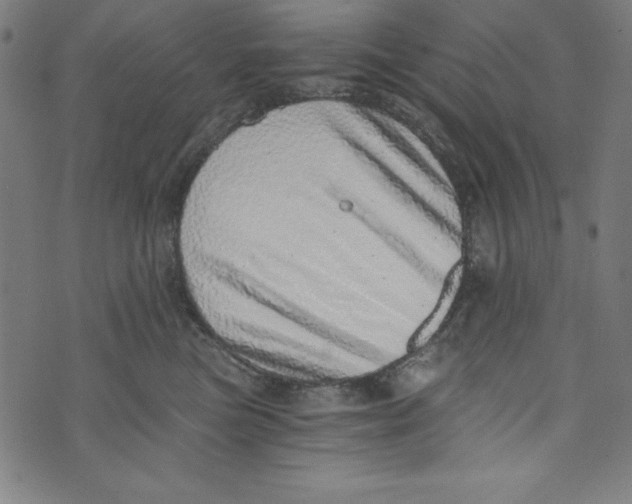 X0000072980473200608211354