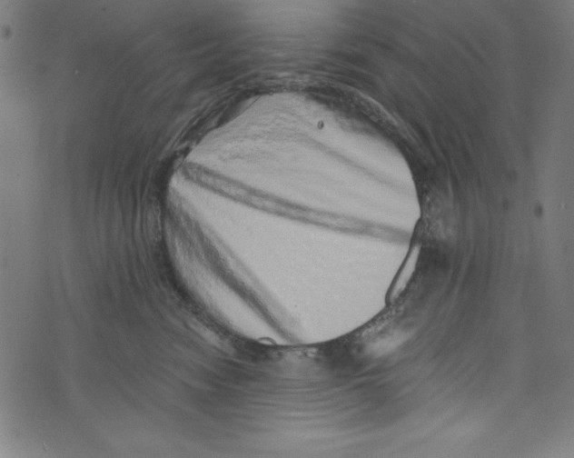 X0000072980474200608211354