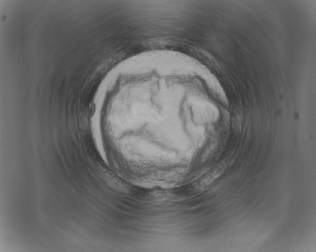 X0000072980477200608211354