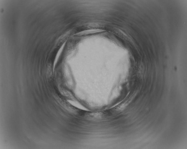 X0000072980478200608211354