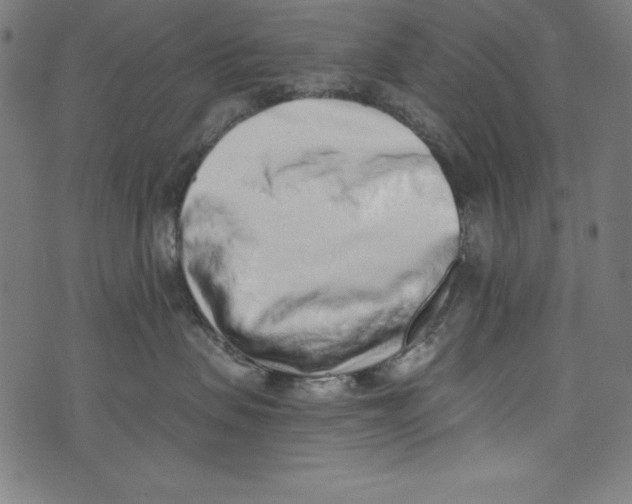 X0000072980479200608211354