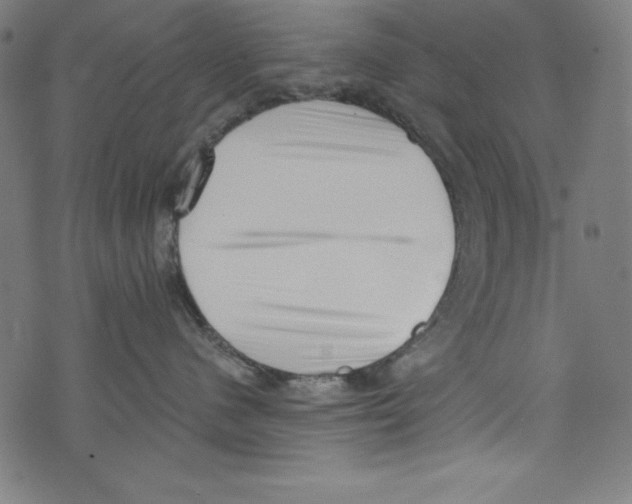 X0000072980480200608211354