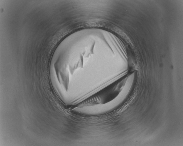 X0000072980481200608211353