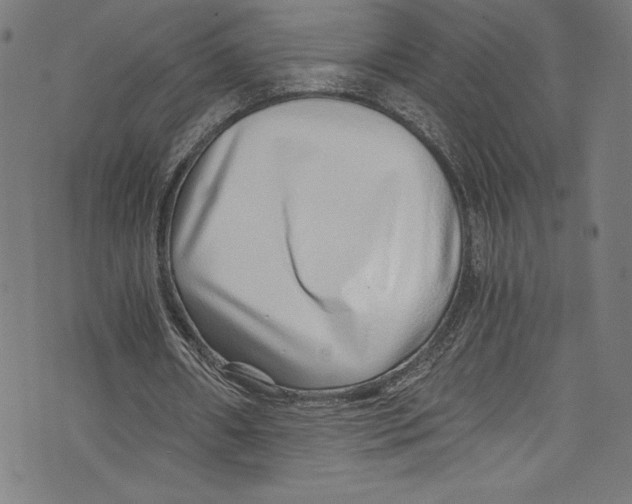 X0000072980482200608211353