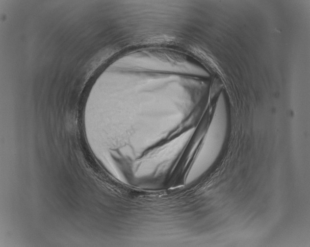 X0000072980483200608211353
