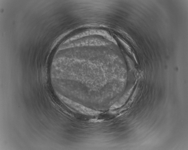 X0000072980484200608211353
