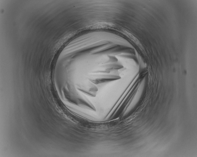 X0000072980485200608211353