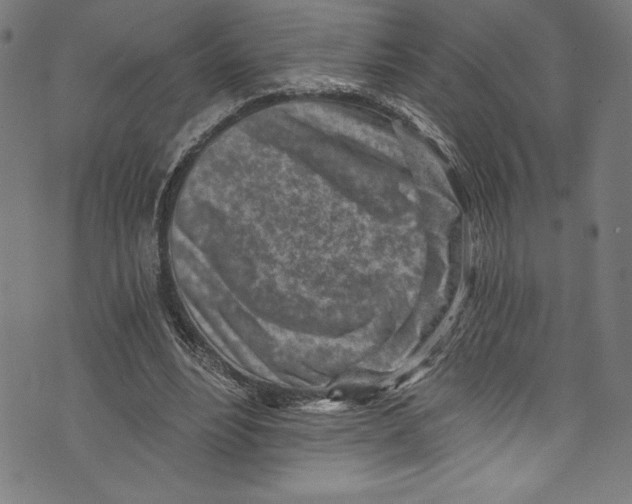X0000072980488200608211353