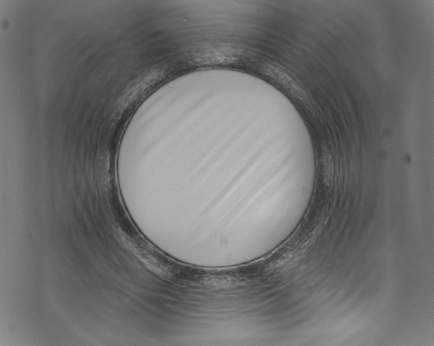 X0000072980490200608211353