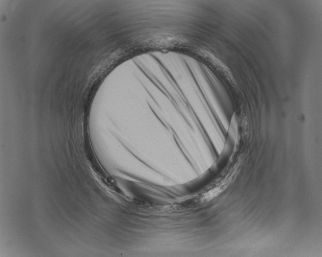 X0000072980493200608211353