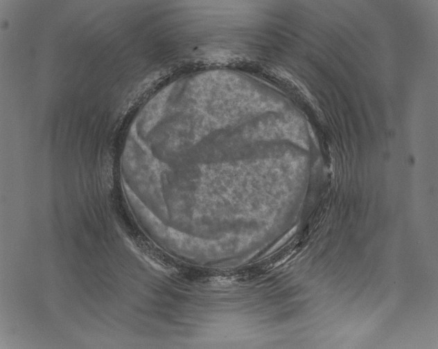 X0000072980496200608211353