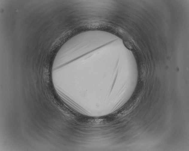 X0000072980497200608211353
