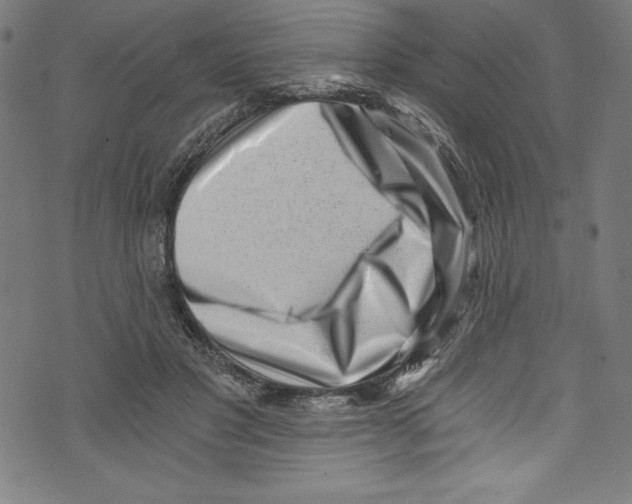 X0000072980501200608211353