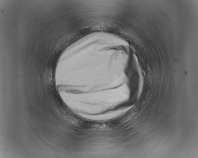 X0000072980502200608211353