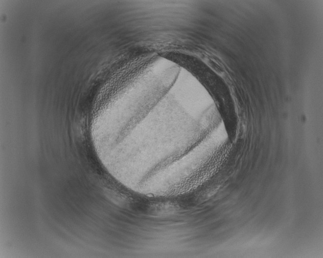 X0000072980503200608211353