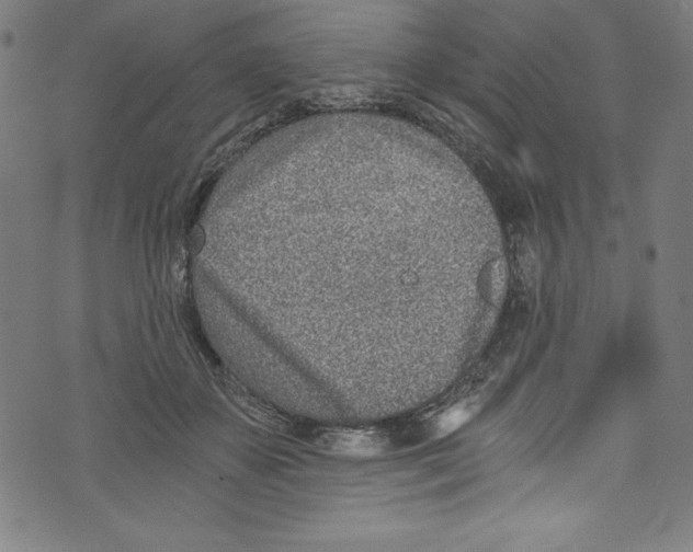 X0000072980507200608211353