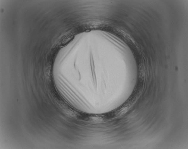 X0000072980509200608211353