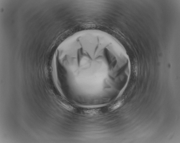 X0000072980516200608211353