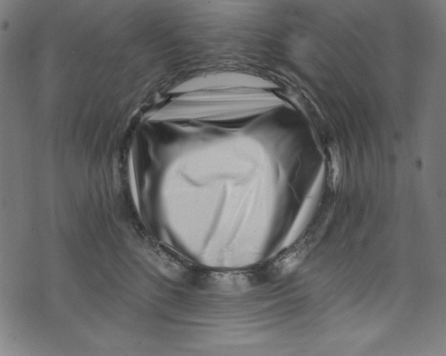 X0000072980520200608211353