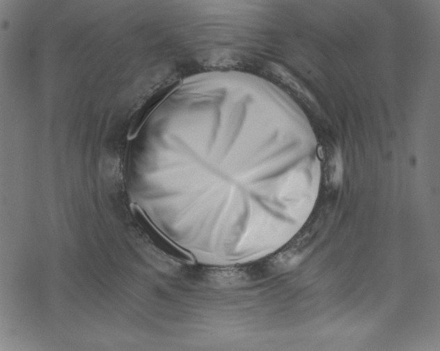 X0000072980521200608211353