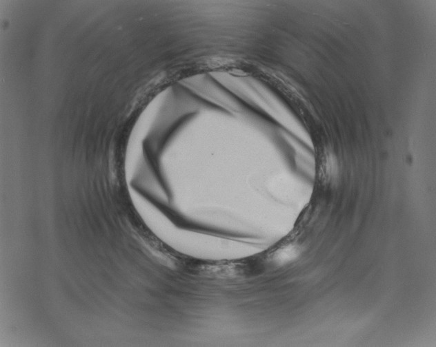 X0000072980524200608211353