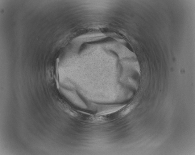 X0000072980528200608211353