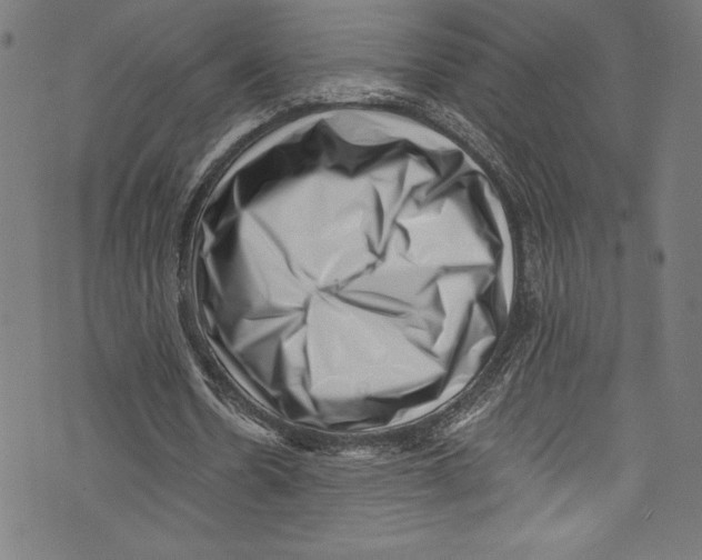 X0000072980530200608211352