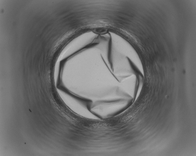 X0000072980535200608211352