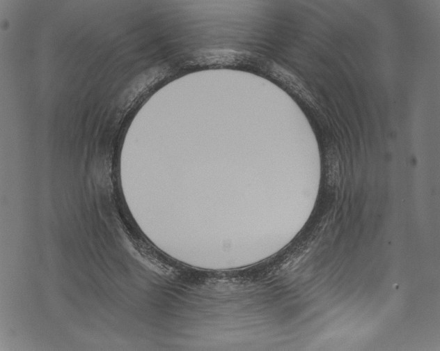 X0000072980538200608211352