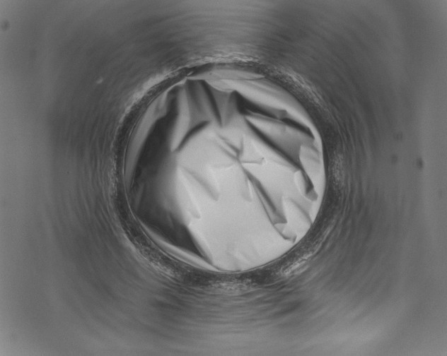 X0000072980540200608211352