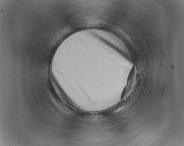 X0000072980542200608211352